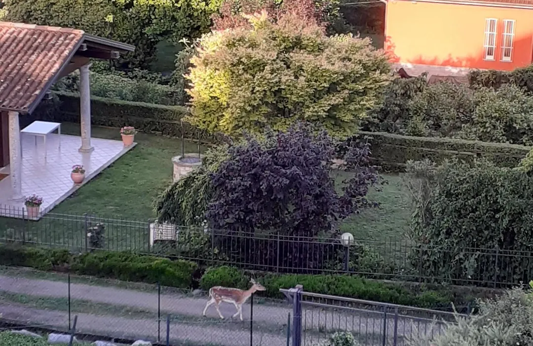 B&B La Civetta-1
