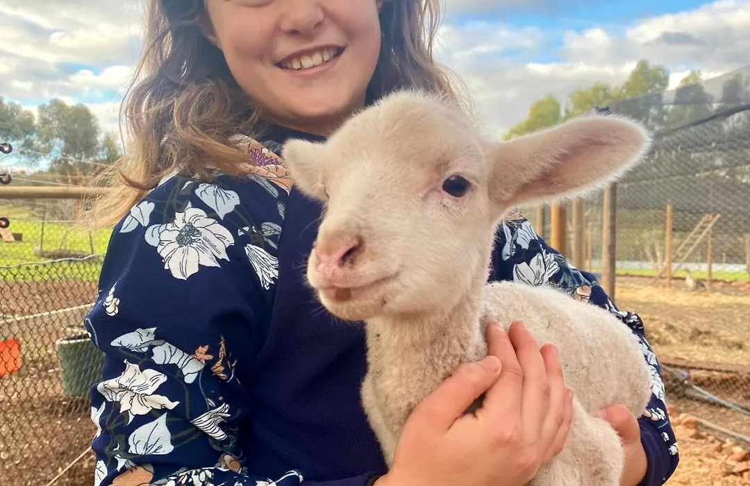 Sandalwood Downs Fabulous Farm Stay Toodyay-1