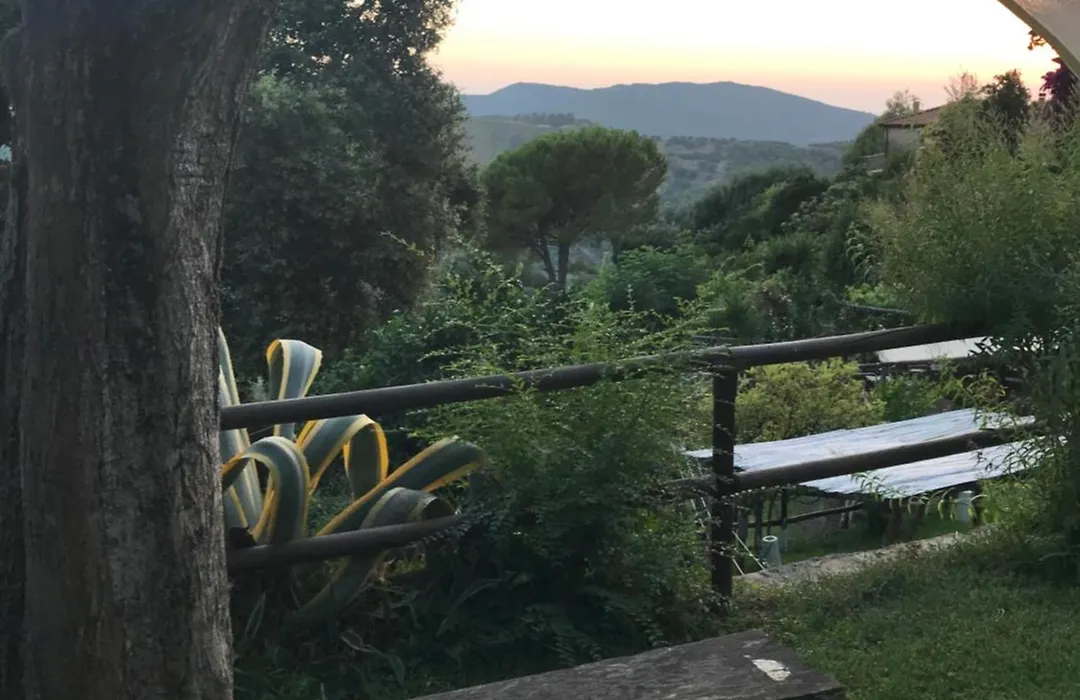 Il Mandorlo-1