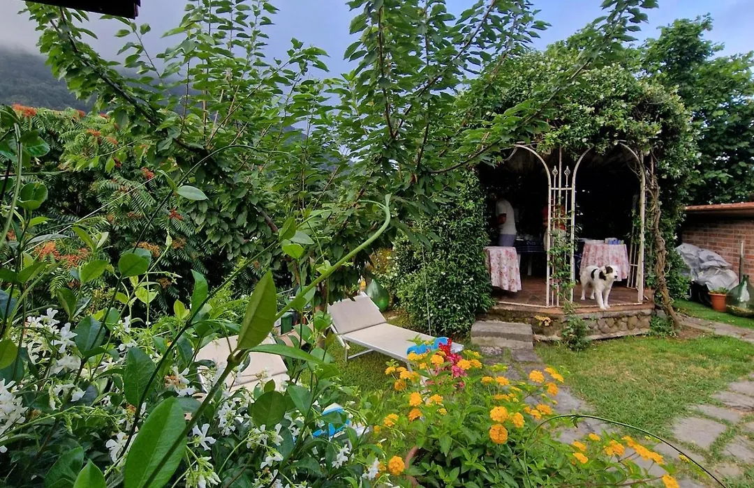 jasmine cottage-1