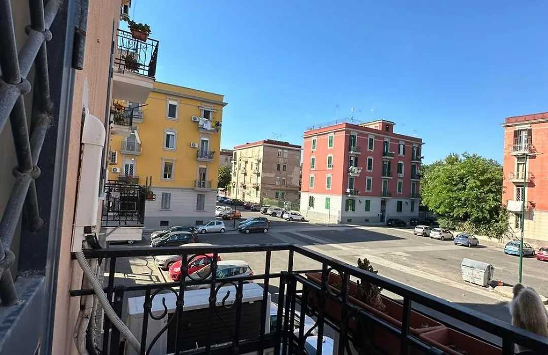 B&B Paura-1