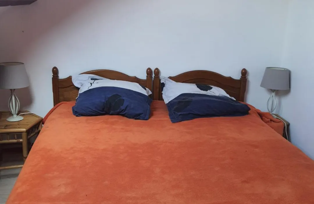 Domi et les chats-1