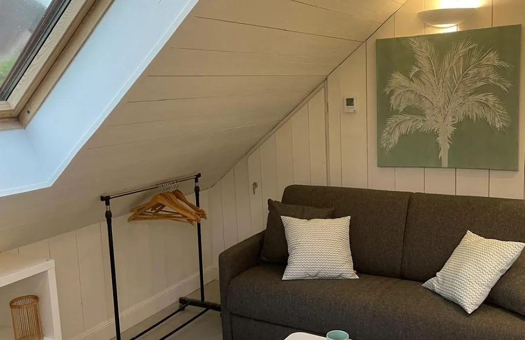 La Baie des Voiles 3 chambres 4 à 6 personnes au bord du lac plage privée-1