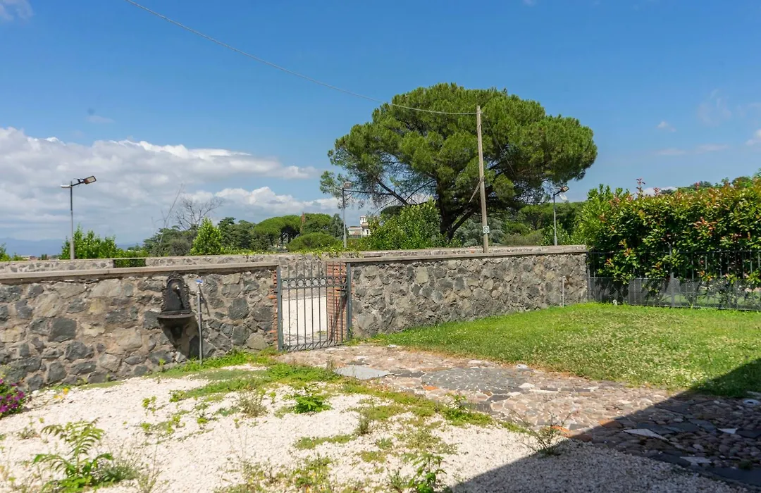 Al Borgo - Tenuta Borsari-1