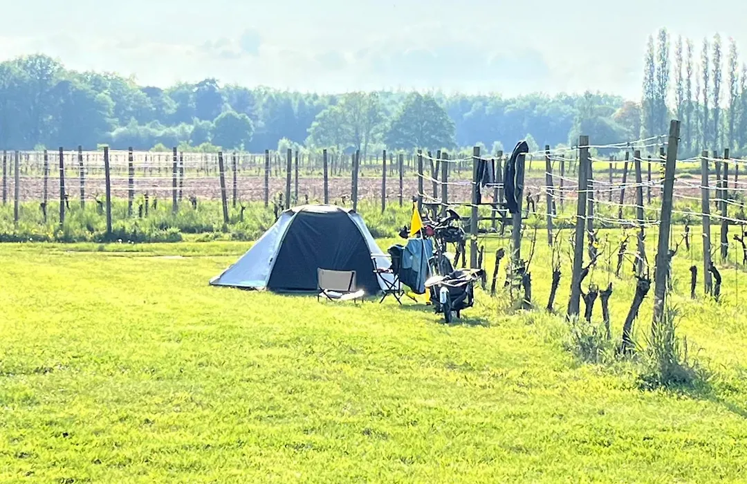 Erve Zonnehoeve B&B En Wijngaard-1