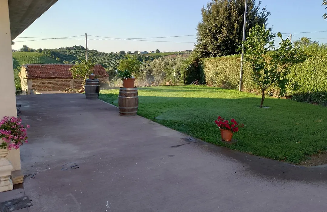 B&B Sophia-1