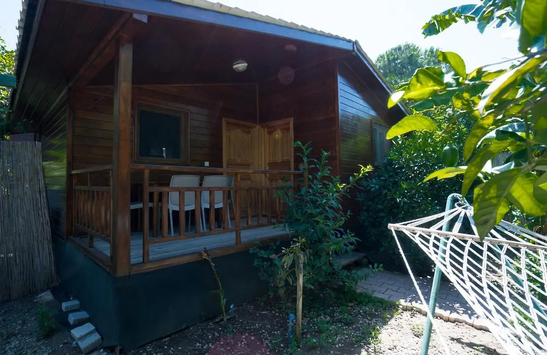 Lemon Garden Lodge-1