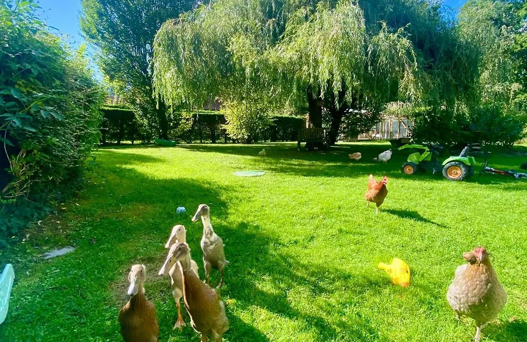 Le Clos De L'Ermitage-1