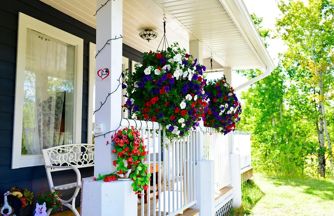 The Blue Cottage B&B-1