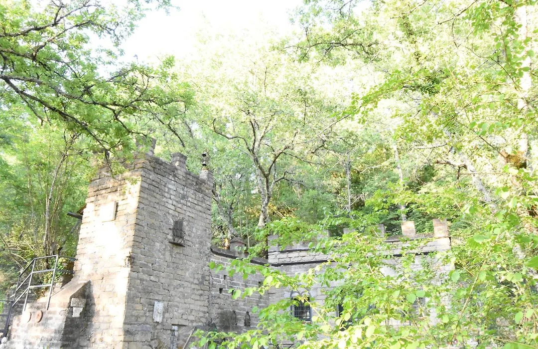 Il castello nel bosco-1