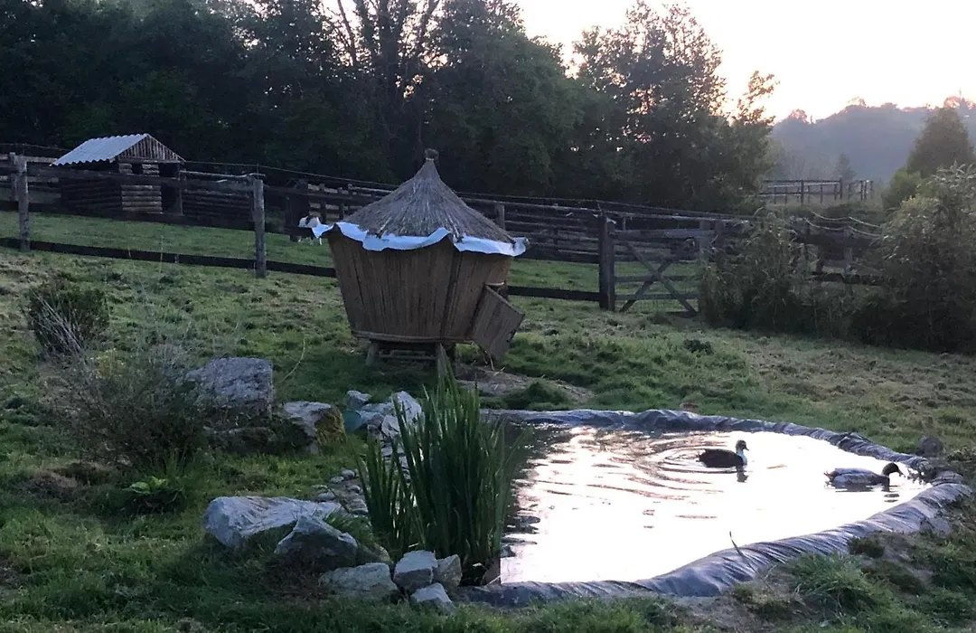 Le Champ des Possibles-1