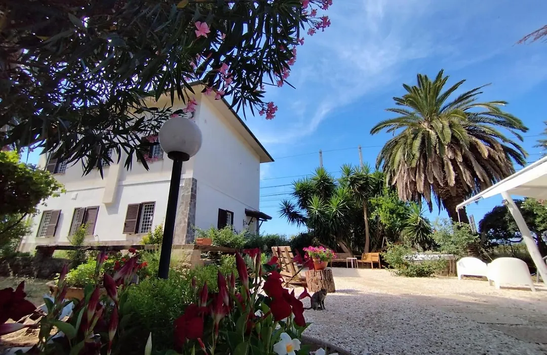 La Domus di Cosa-1