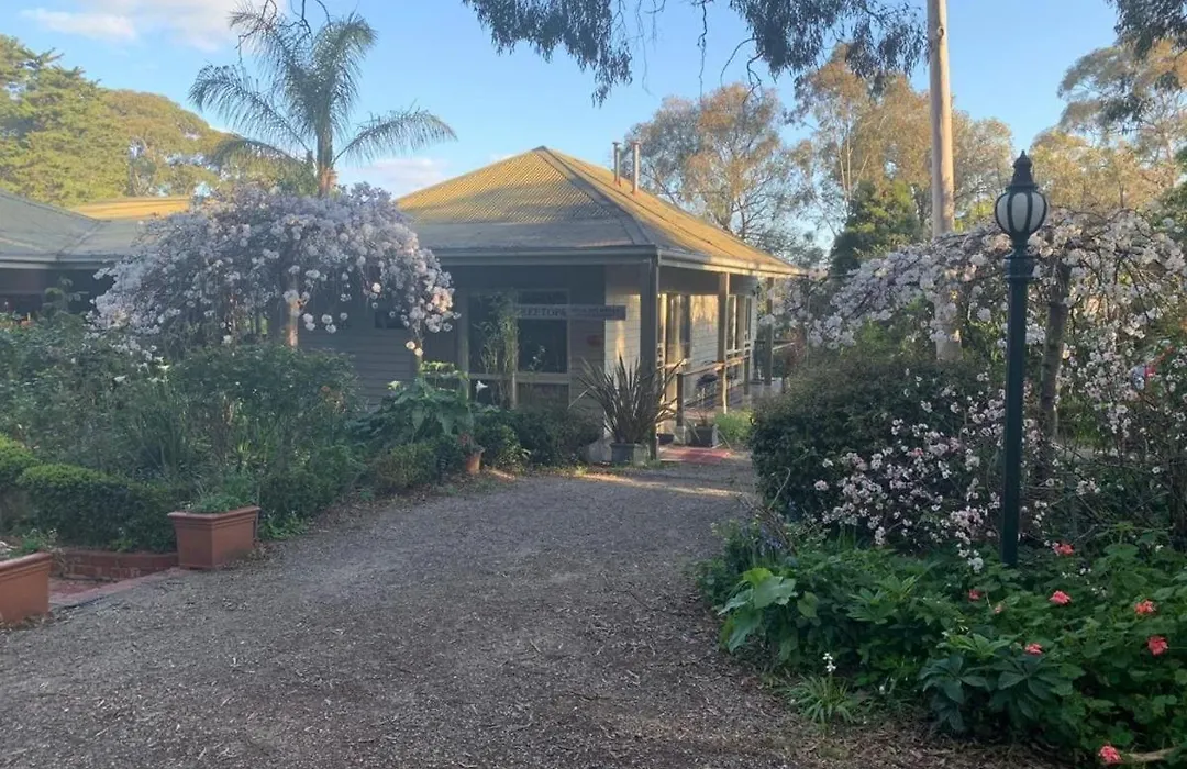 Treetops Bed & Breakfast-1