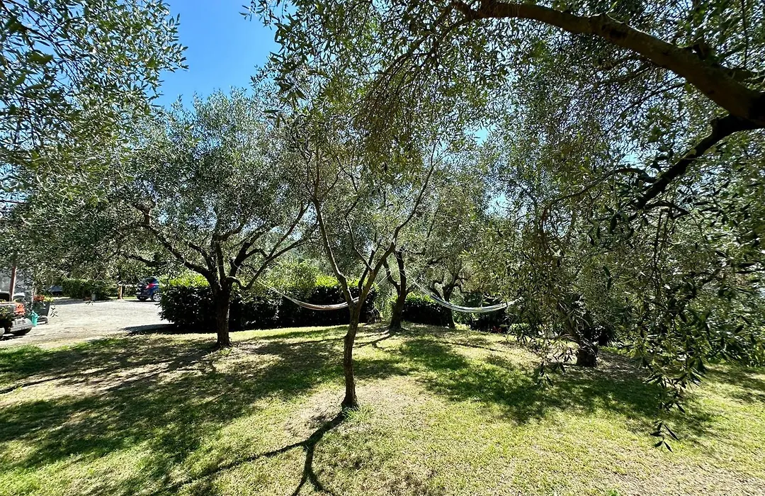 Agriturismo Uliveto Bartolomeo-1