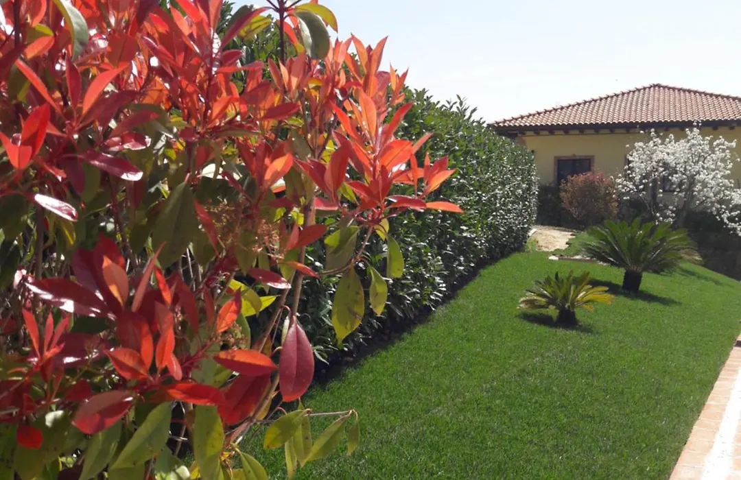 Tenuta la Ginestra-1