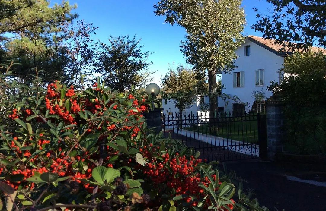 7 Olmi b&b Bologna-1