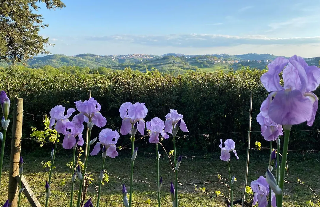 Relais Casamassima-1