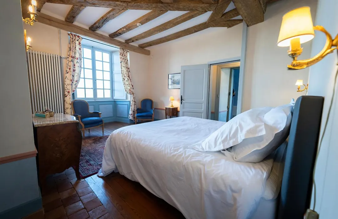 Château de La Bussière-1