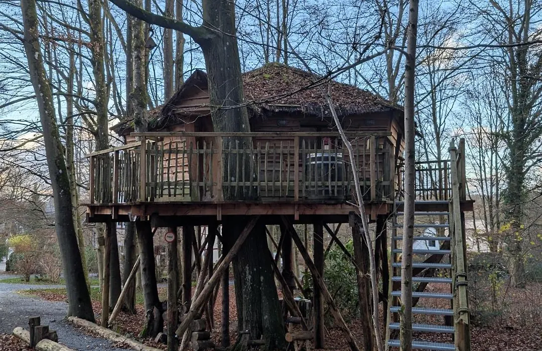 B&B La Cabane Du Bois Dormant-1