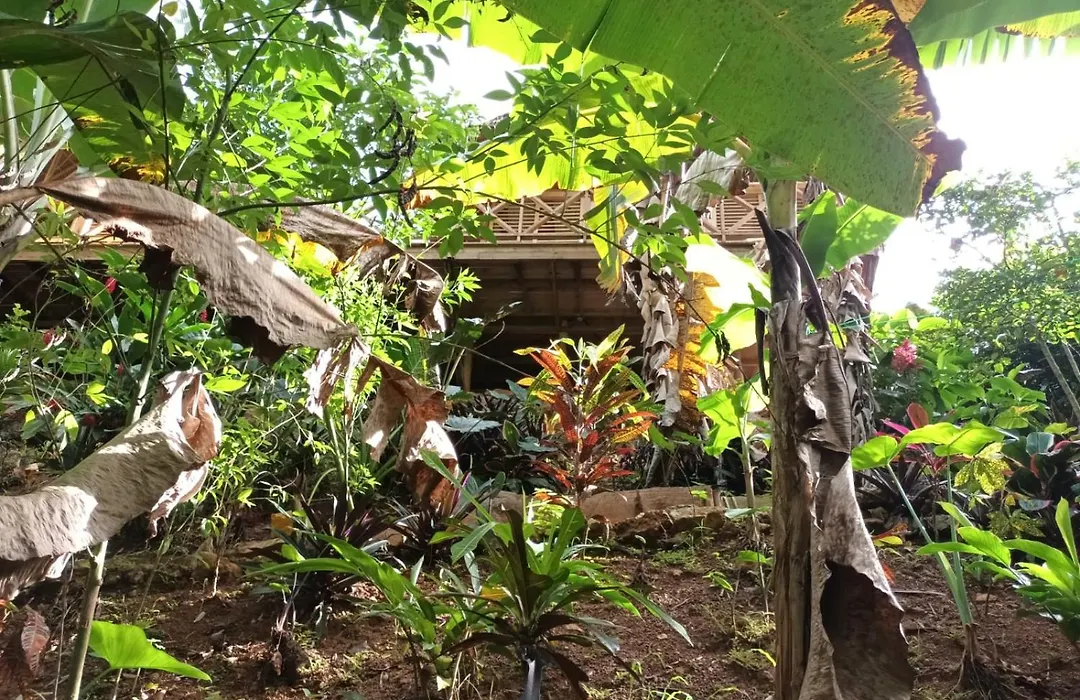 Samo Eco Lodge-1