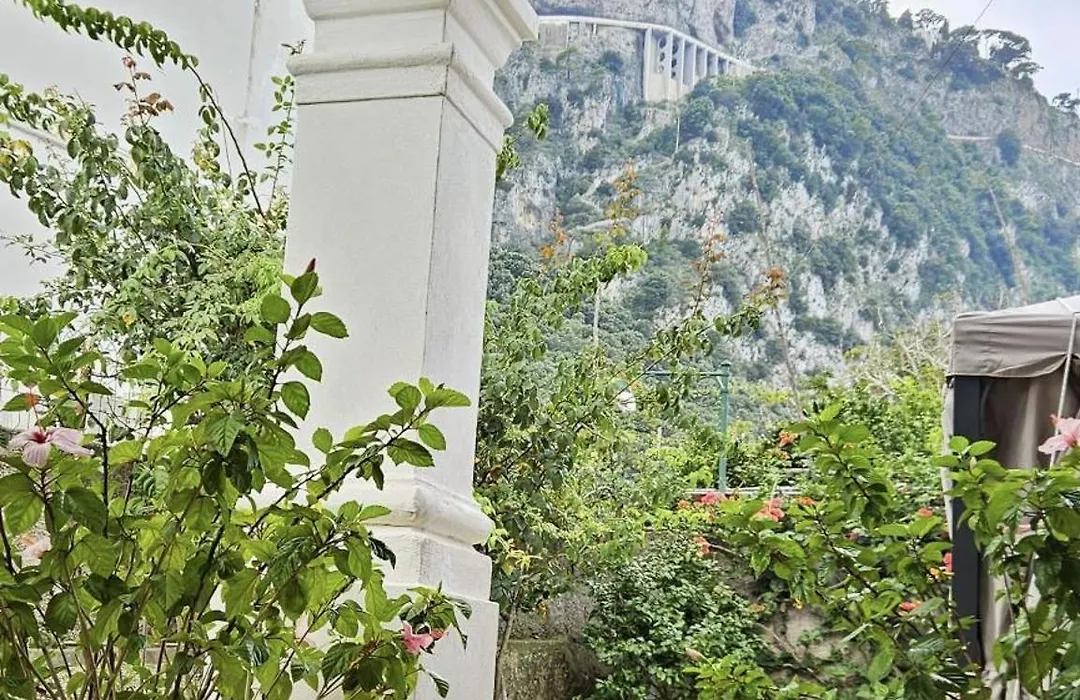 Il Cigno B&B-1