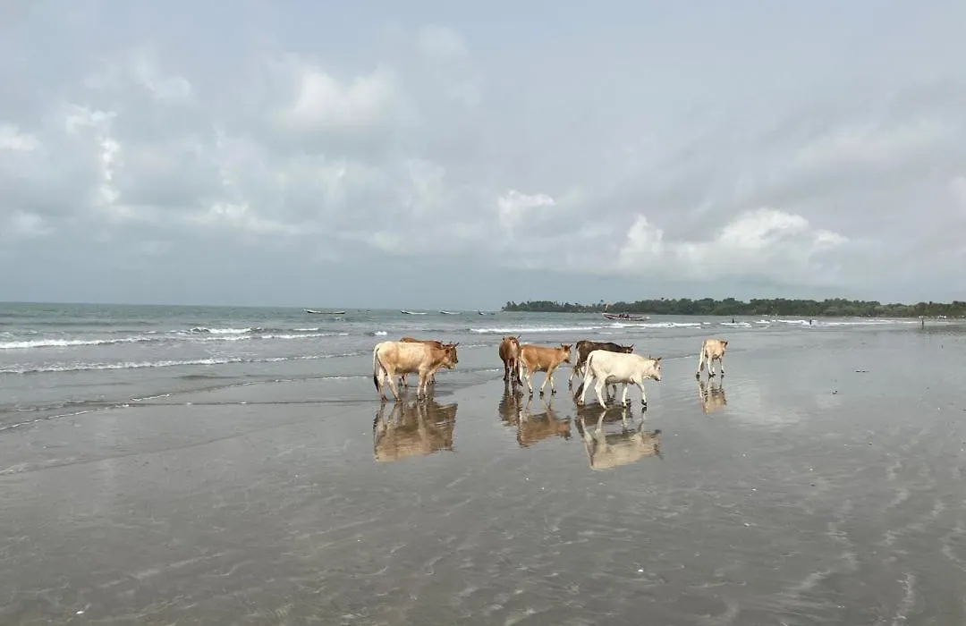 Flamingo Beach-1