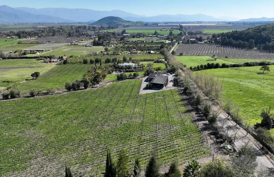 Vina Lof - Maipo Valley Bed & Breakfast In Winery-1