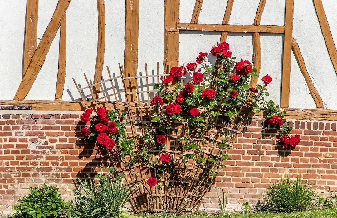 Aux Passiflores-1