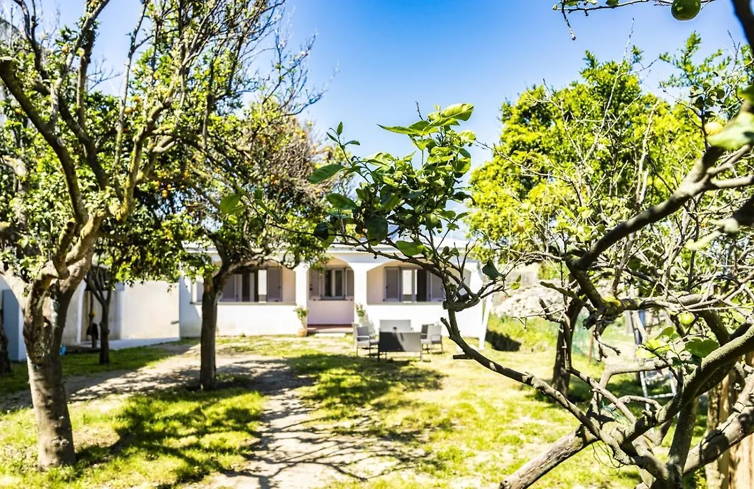 Casa Mimi-1