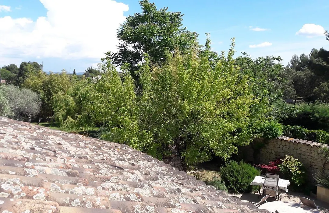 Bastide Sainte Agnes-1