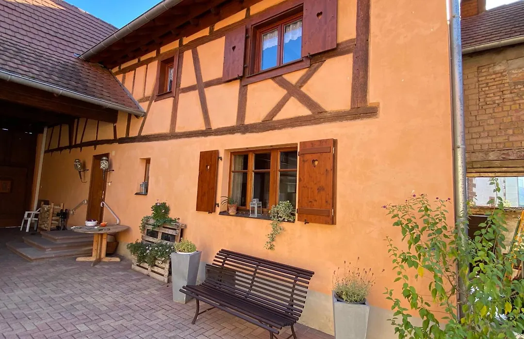 La ferme de Lili-1