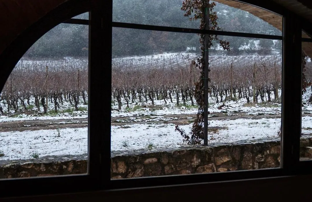 San Calisto camere con vigna-1