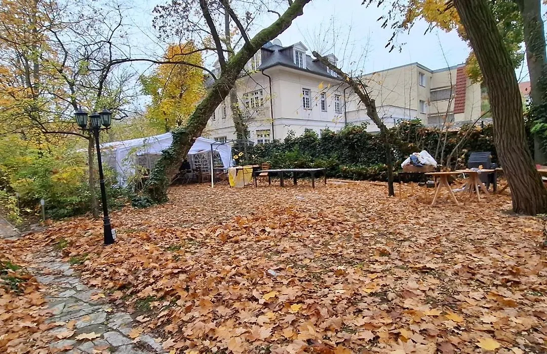 King David Garden-1