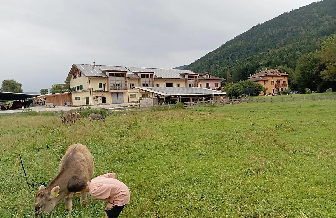 Maso Torbiera- Rural&Mountain lodging-1