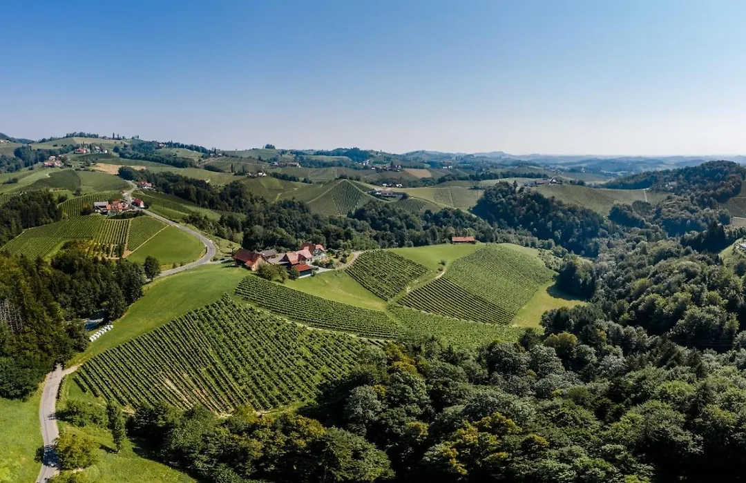 Weingut Juritsch-1