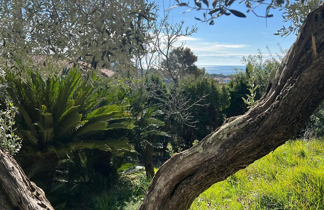 Villa Tara-1