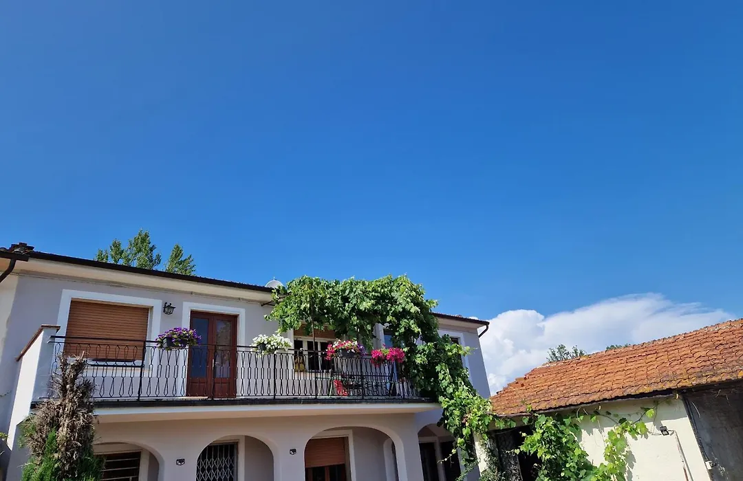 Wine House-1