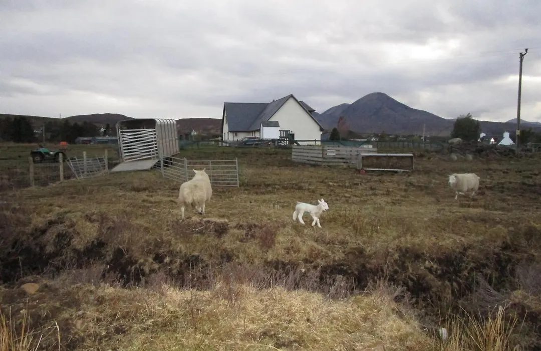 Scorrybreac B&B-1