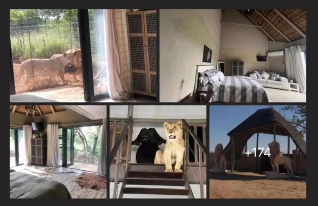 Simba Safaris African Pride Exotic Lodge-1
