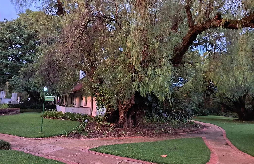 President Paul Kruger Guest Lodge-1