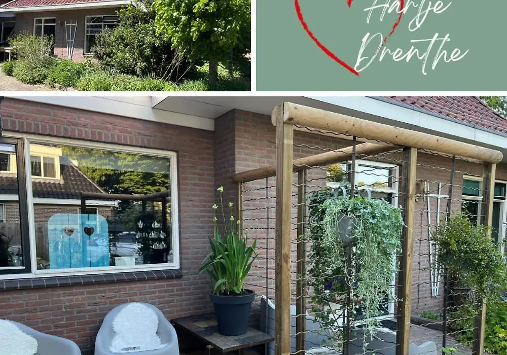 B&B Hartje Drenthe-1