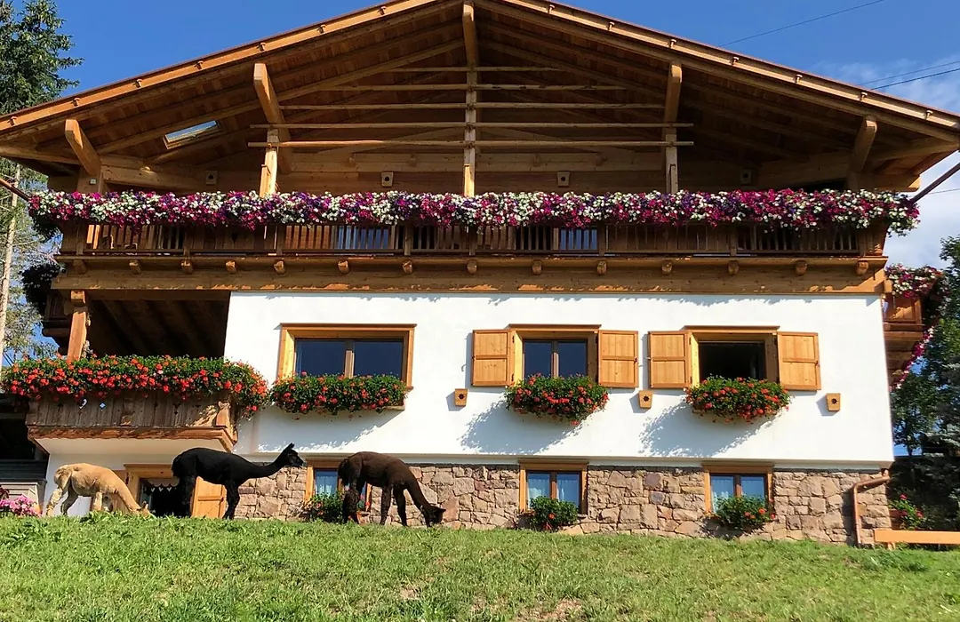 B&B Belvedere-1