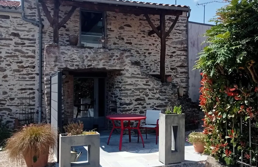 Fleur De Vigne-1