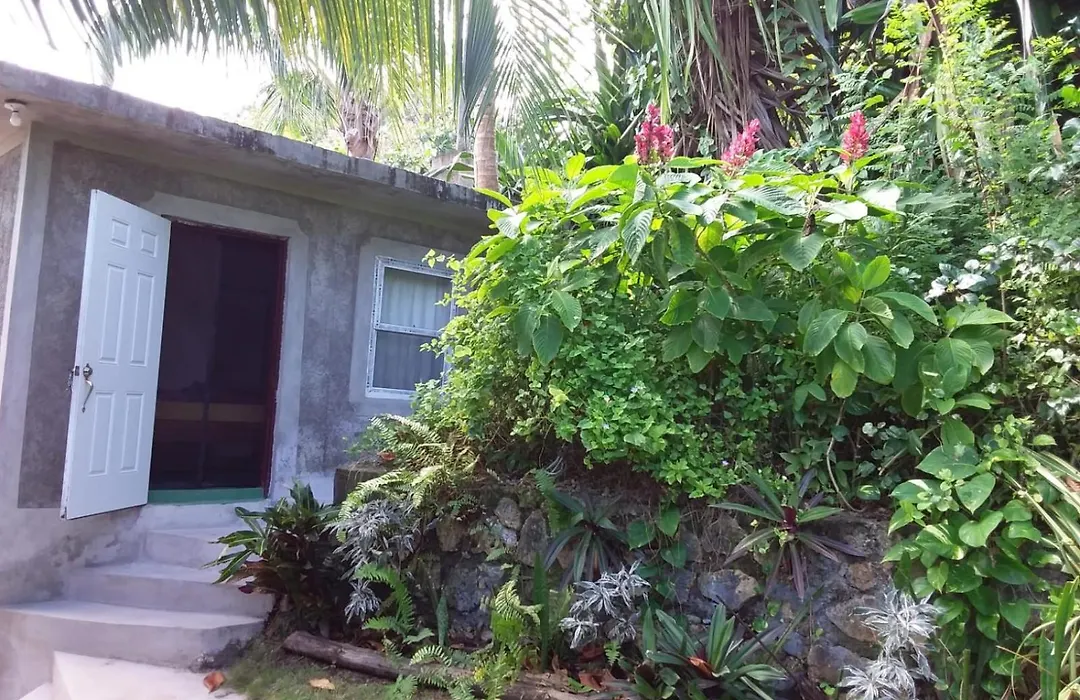Port Antonio Brian'S Beach House-1