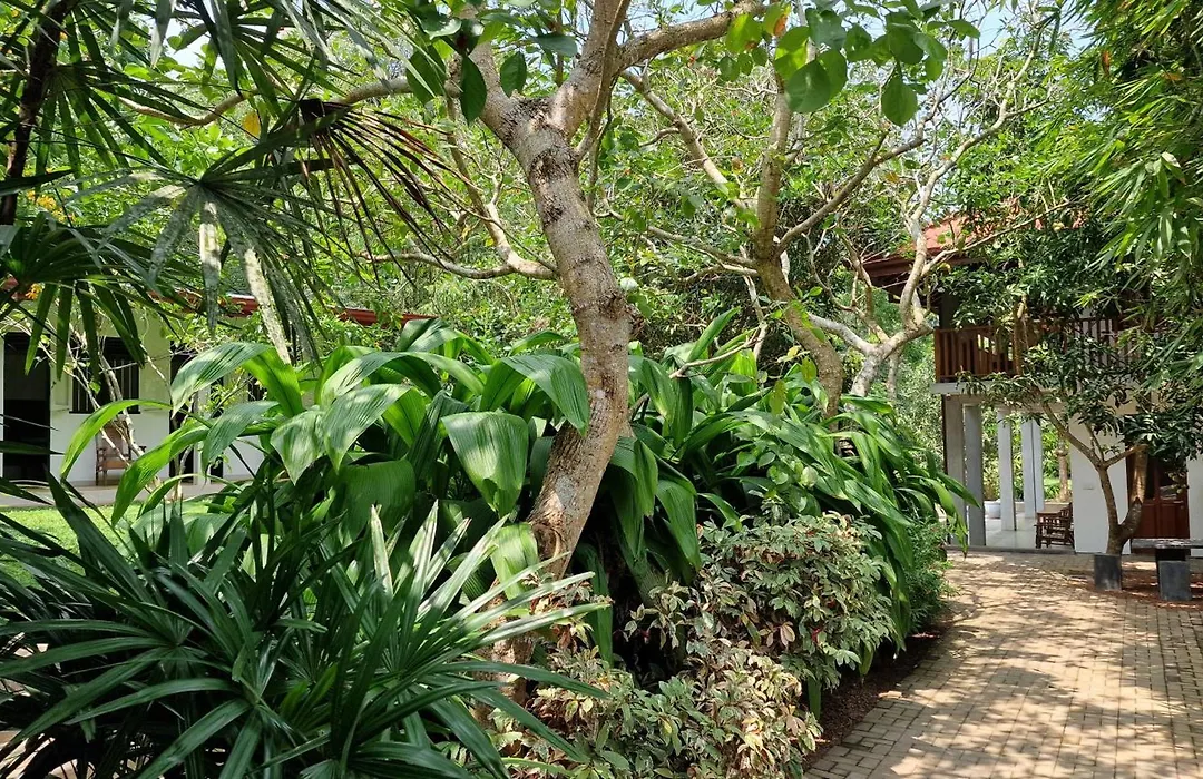 Villa Arana Bentota-1
