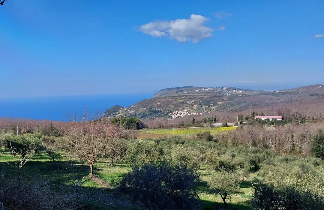 Uliveto Garden-1