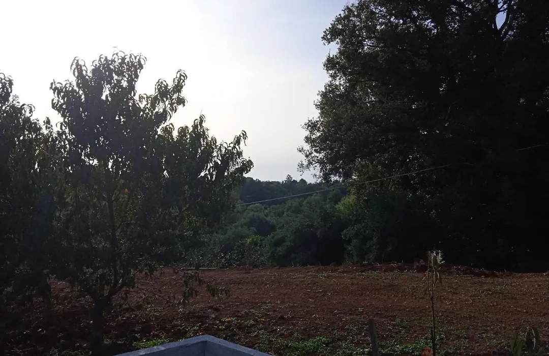B&B Nonno Pino-1