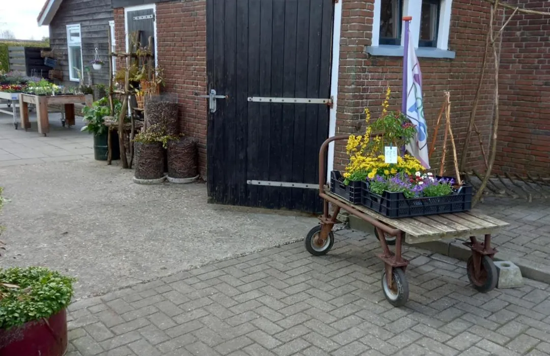 B&B Aan de Fjildwei-1