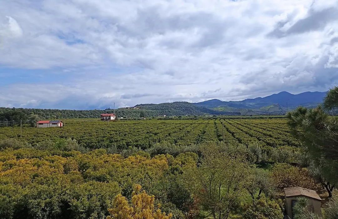 B&B Casa Gabriele-1