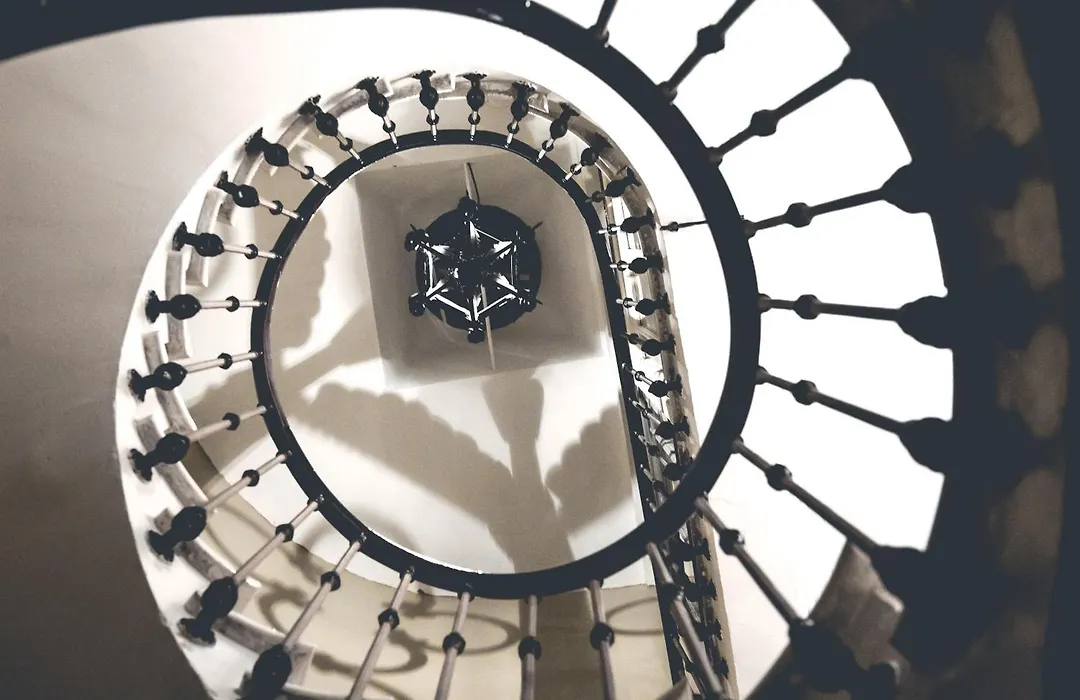 O'palmier Caché-1